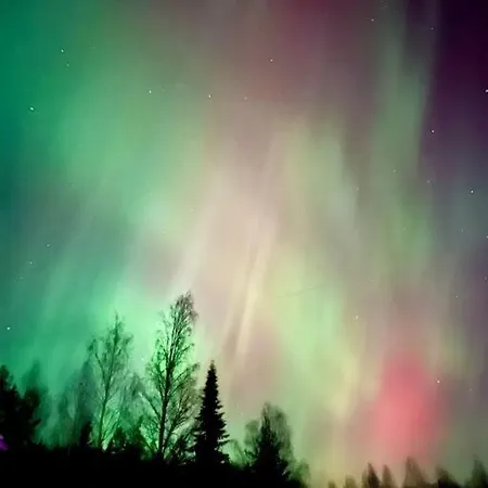 Saunallinen Minitalo Keskella Ulkoilukylaa Casa de Férias Luopioinen